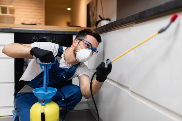 Best Pest Control Near Me in West Long Branch, NJ